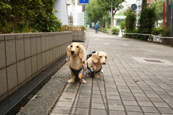 2014102103.jpg