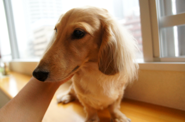 2014102205.jpg