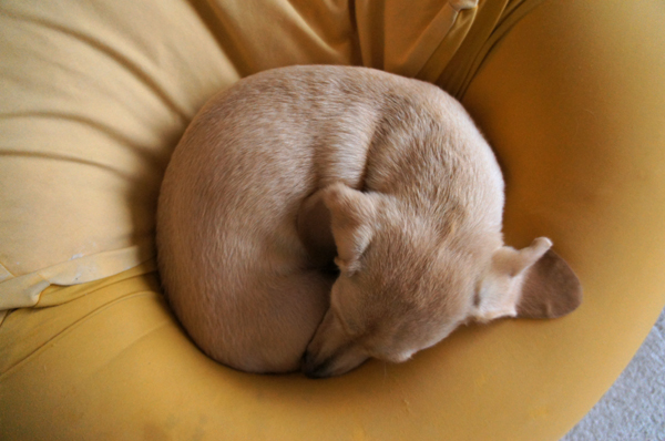 2014102207.jpg
