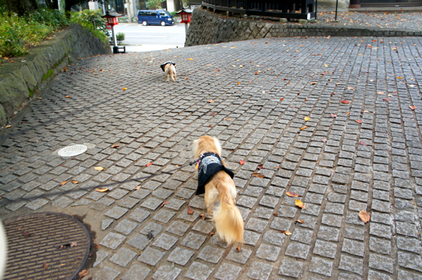 2014102509.jpg