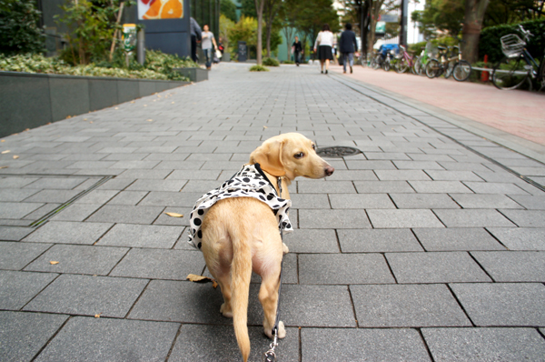 2014102608.jpg