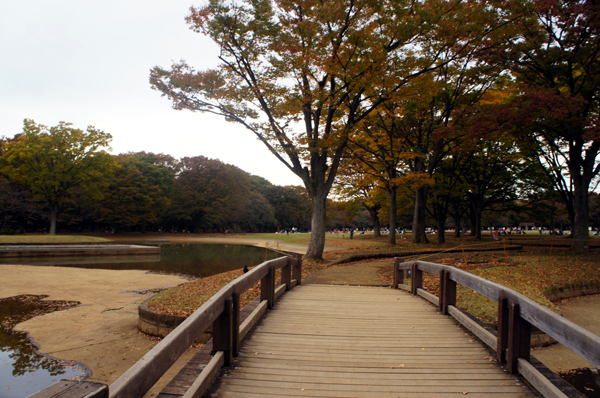 2014110254.jpg