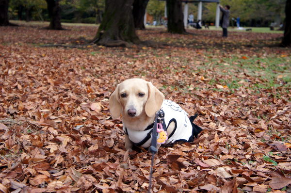 2014110262.jpg