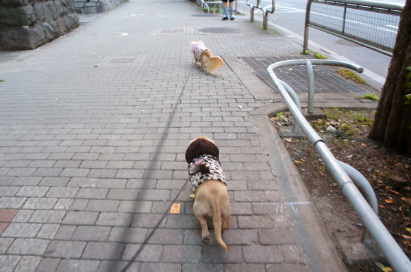 2014111401.jpg