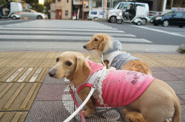 2014111615.jpg