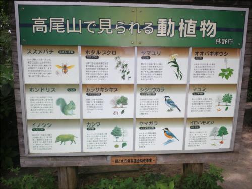 自然いっぱい