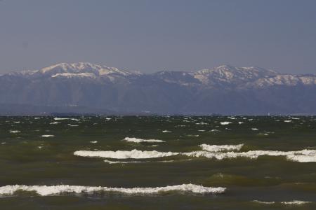 IMG_7811.jpg