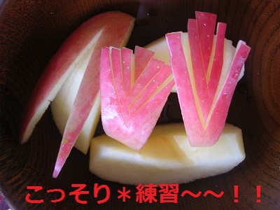 DSCN0441a.jpg