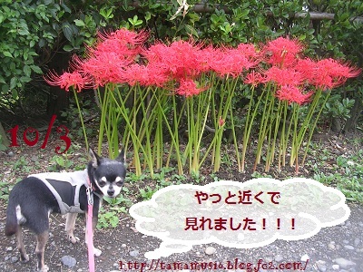 DSCN0601a.jpg