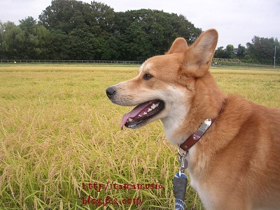DSCN0612a.jpg