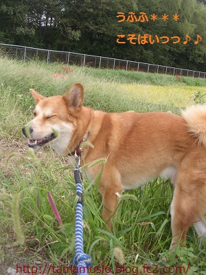 DSCN0616a.jpg