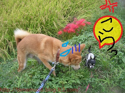 DSCN0626a.jpg