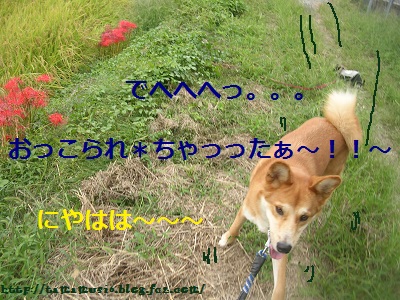 DSCN0630a.jpg