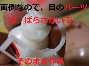 DSCN0862a.jpg