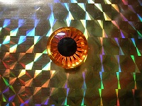 DSCN0866a.jpg