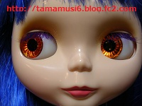 DSCN0885a.jpg