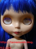 DSCN0887a.jpg