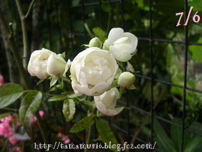 DSCN1325a.jpg