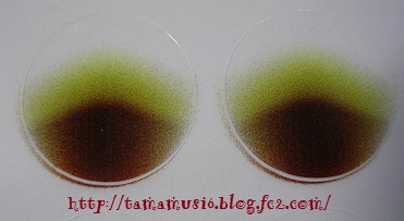 DSCN1540a_20121123105200.jpg