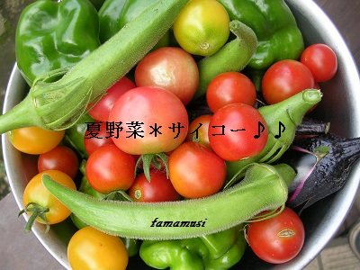 20120818c1