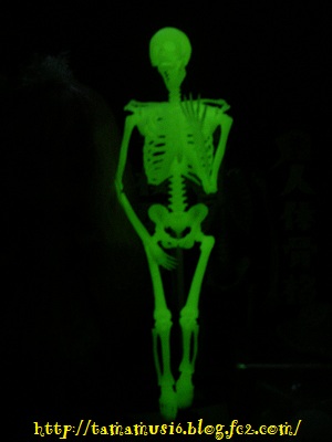 DSCN2048a_20121103112850.jpg