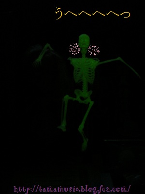 DSCN2049a.jpg