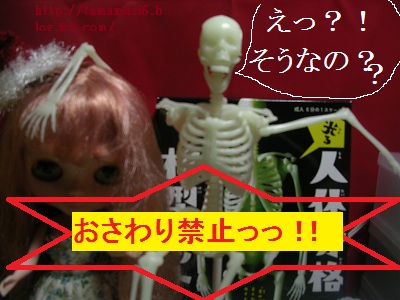 DSCN2052a.jpg