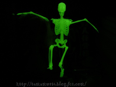 DSCN2053a.jpg