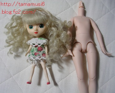 DSCN2162a.jpg
