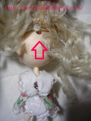 DSCN2166a.jpg