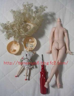 DSCN2167a.jpg
