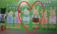 DSCN2246a.jpg