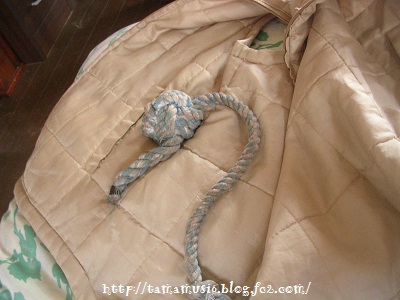 DSCN2553a.jpg