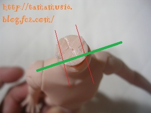 DSCN2695a.jpg