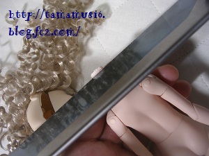 DSCN2708a.jpg