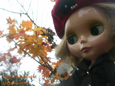 DSCN6920a.jpg