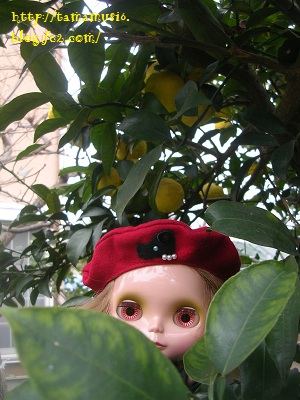 DSCN6923a.jpg