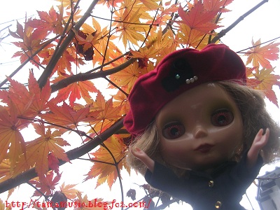 DSCN6930a.jpg