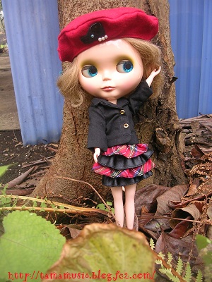 DSCN6936a.jpg