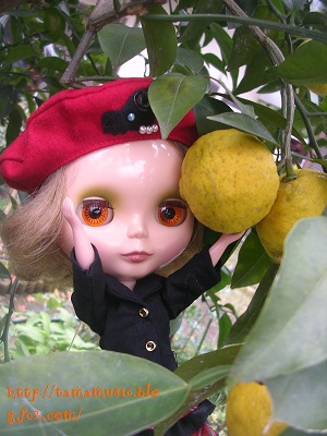 DSCN6939a.jpg
