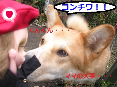 DSCN6952a_20130114003958.jpg
