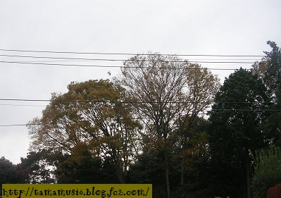 DSCN6953a.jpg
