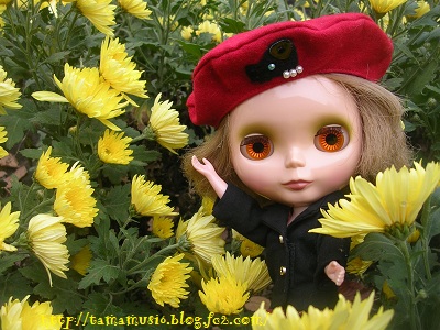 DSCN6958a.jpg