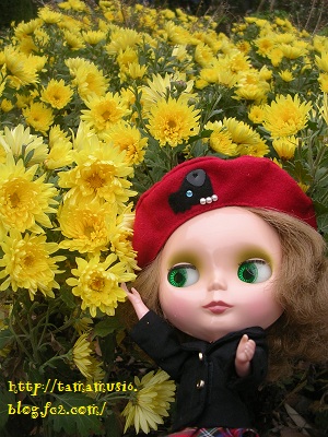 DSCN6969a.jpg