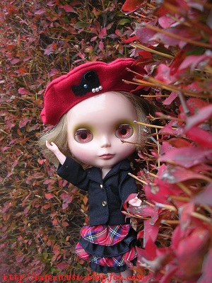 DSCN6971a.jpg