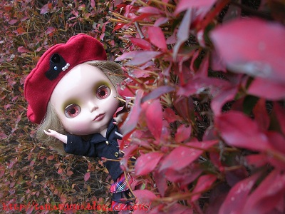 DSCN6975a.jpg