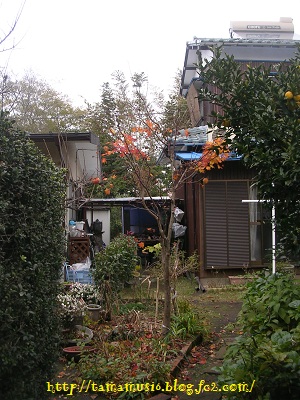 DSCN6977a.jpg