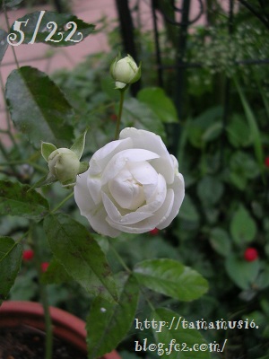 DSCN7173a.jpg