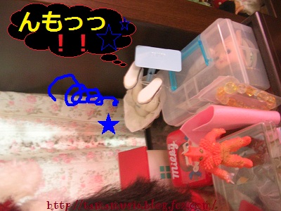DSCN7363a.jpg