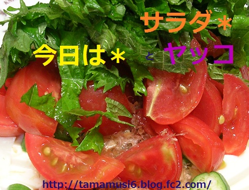 DSCN7885ab.jpg